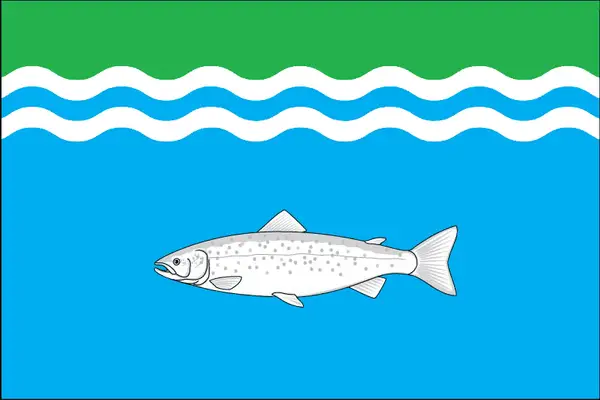 Флаг: Онежский район